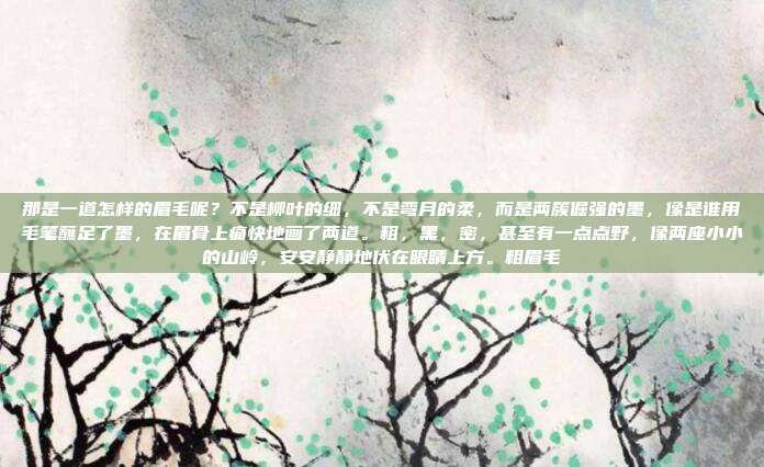 那是一道怎样的眉毛呢?不是柳叶的细,不是弯月的柔,而是两簇倔强的墨,像是谁用毛笔蘸足了墨,在眉骨上痛快地画了两道。粗,黑,密,甚至有一点点野,像两座小小的山岭,安安静静地伏在眼睛上方。粗眉毛