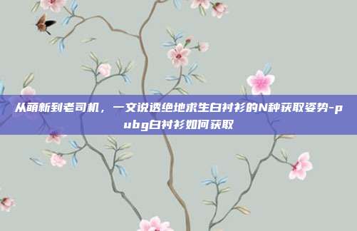 从萌新到老司机,一文说透绝地求生白衬衫的N种获取姿势-pubg白衬衫如何获取