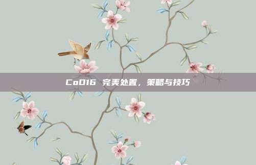 CoD16 完美处置,策略与技巧