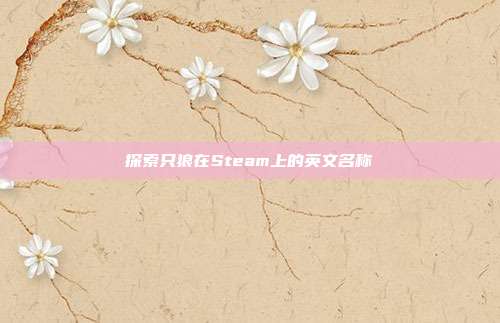 探索只狼在Steam上的英文名称