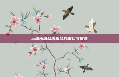 三国杀国战废组合的崛起与挑战