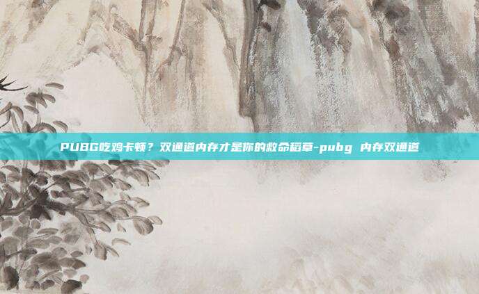 PUBG吃鸡卡顿?双通道内存才是你的救命稻草-pubg 内存双通道