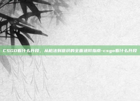 CSGO看什么升段，从枪法到意识的全面进阶指南-csgo看什么升段