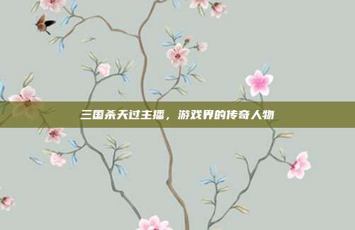 三国杀天过主播,游戏界的传奇人物