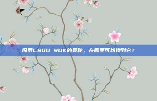 探索CSGO SDK的奥秘，在哪里可以找到它？