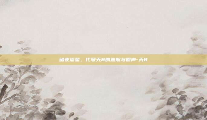 暗夜流星,代号天8的巡航与回声-天8