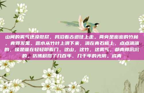 山间的雾气还没散尽,我沿着古道往上走。两旁是密密的竹林,青得发黑。露水从竹叶上滑下来,滴在青石板上,点点滴滴的,像是谁在轻轻叩着门。这山,这竹,这雾气,都青得沉沉的,仿佛积攒了几百年、几千年的光阴。成青