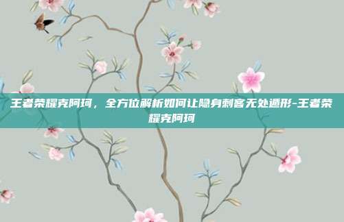 王者荣耀克阿珂，全方位解析如何让隐身刺客无处遁形-王者荣耀克阿珂