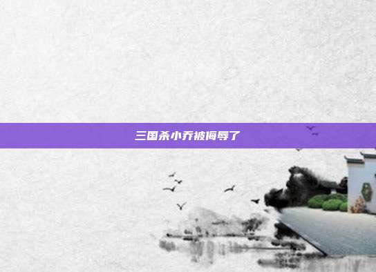 三国杀小乔被侮辱了