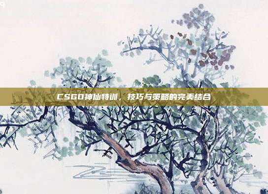 CSGO神仙特训,技巧与策略的完美结合