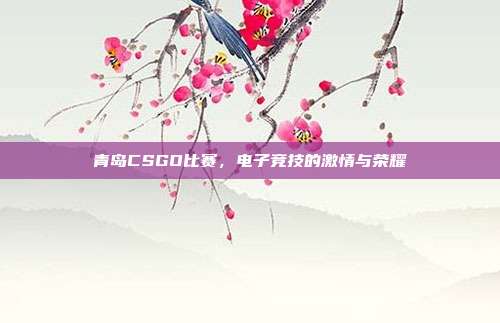 青岛CSGO比赛,电子竞技的激情与荣耀