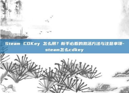 Steam CDKey 怎么用?新手必看的激活方法与注意事项-steam怎么cdkey