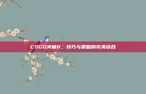 CSGO突破B,技巧与策略的完美结合