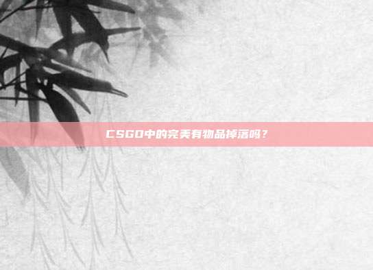 CSGO中的完美有物品掉落吗?