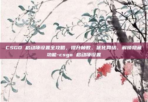CSGO 启动项设置全攻略,提升帧数、优化网络、解锁隐藏功能-csgo 启动项设置