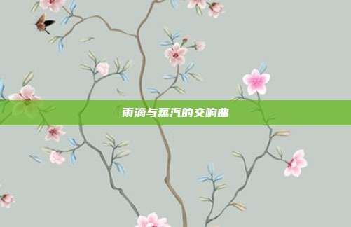 雨滴与蒸汽的交响曲