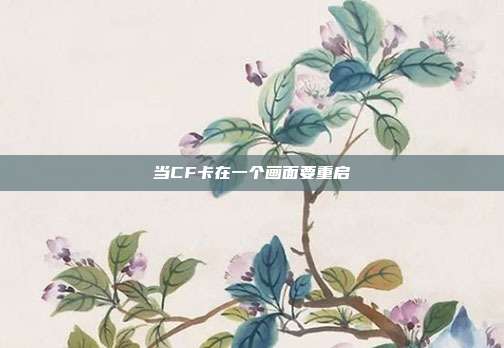 当CF卡在一个画面要重启