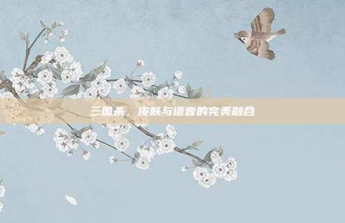 三国杀，皮肤与语音的完美融合