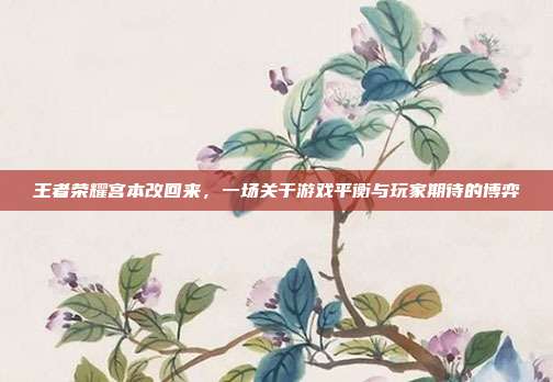 王者荣耀宫本改回来，一场关于游戏平衡与玩家期待的博弈