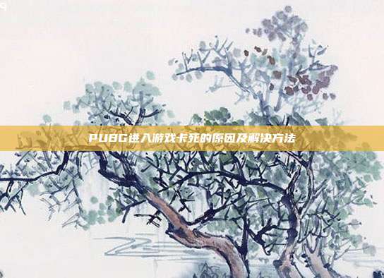 PUBG进入游戏卡死的原因及解决方法