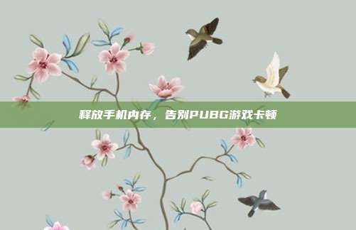 释放手机内存,告别PUBG游戏卡顿