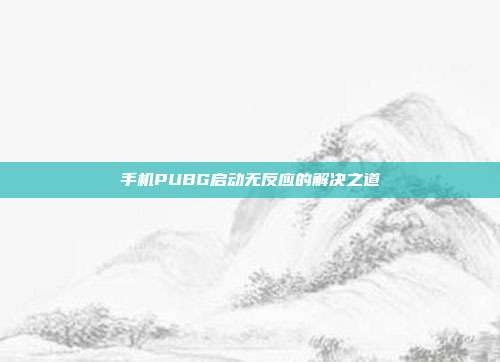手机PUBG启动无反应的解决之道