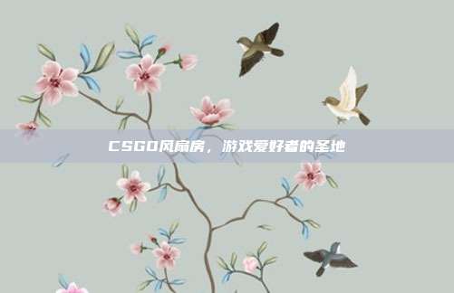 CSGO风扇房,游戏爱好者的圣地