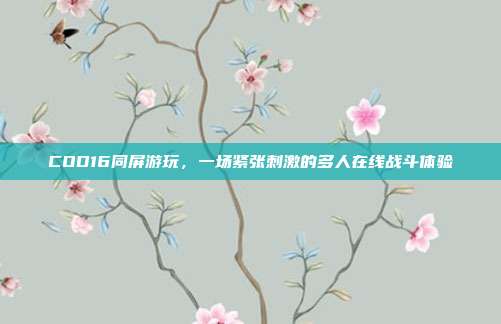 COD16同屏游玩,一场紧张刺激的多人在线战斗体验