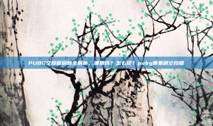 PUBG空投箱刷新全解析,哪里找?怎么抢?pubg哪里刷空投箱
