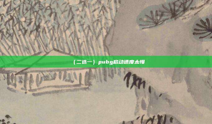 (二选一)pubg启动速度太慢