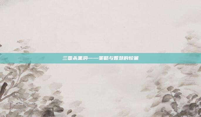 三国杀黑洞——策略与智慧的较量