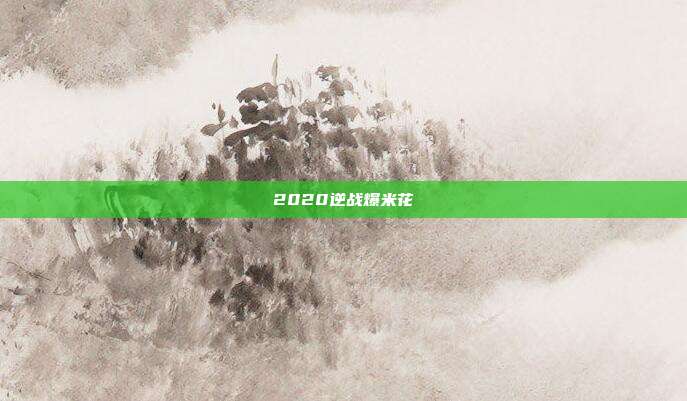 2020逆战爆米花