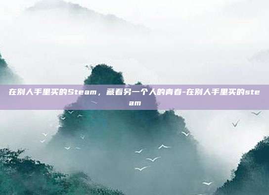 在别人手里买的Steam,藏着另一个人的青春-在别人手里买的steam