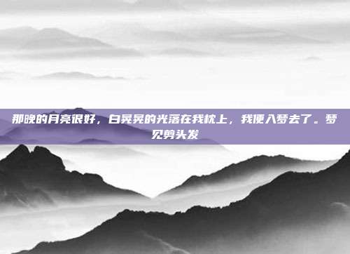 那晚的月亮很好,白晃晃的光落在我枕上,我便入梦去了。梦见剪头发