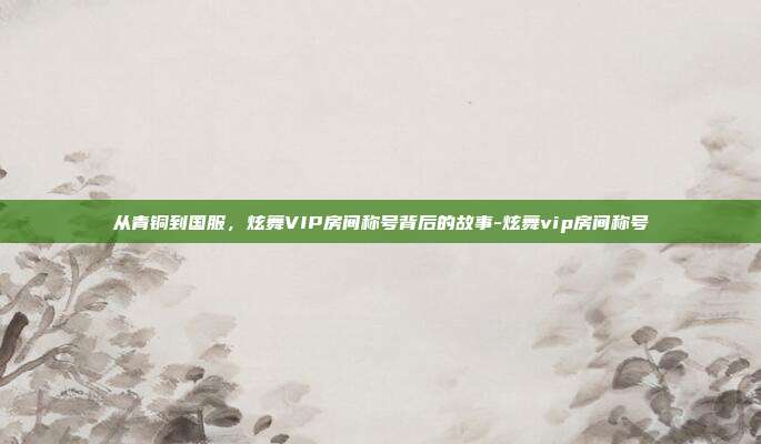 从青铜到国服,炫舞VIP房间称号背后的故事-炫舞vip房间称号