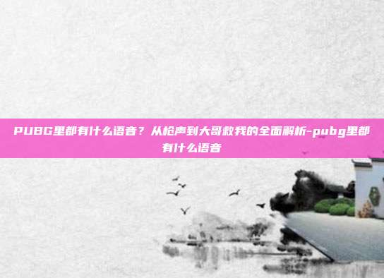 PUBG里都有什么语音？从枪声到大哥救我的全面解析-pubg里都有什么语音