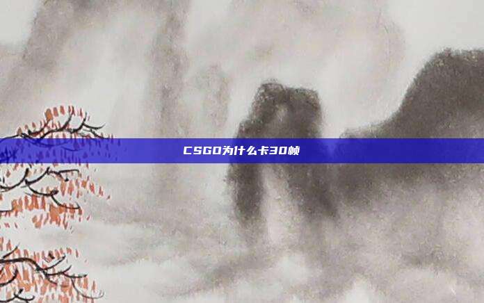 CSGO为什么卡30帧