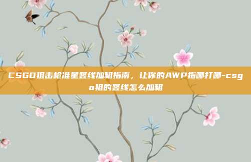 CSGO狙击枪准星竖线加粗指南，让你的AWP指哪打哪-csgo狙的竖线怎么加粗