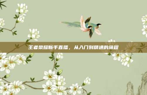 王者荣耀新手直播，从入门到精通的旅程