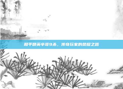 和平精英辛哥9杀，传奇玩家的荣耀之路