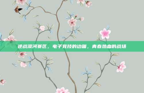 逆战漠河赛区,电子竞技的边疆,青春热血的战场