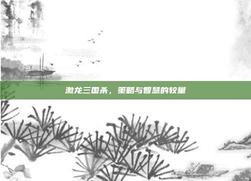 激龙三国杀，策略与智慧的较量