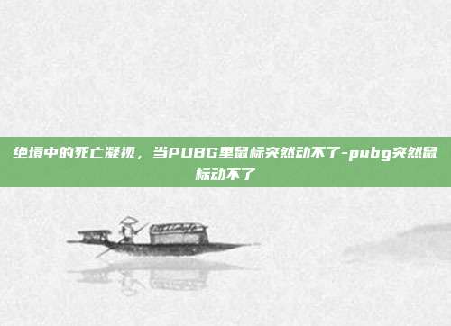 绝境中的死亡凝视,当PUBG里鼠标突然动不了-pubg突然鼠标动不了