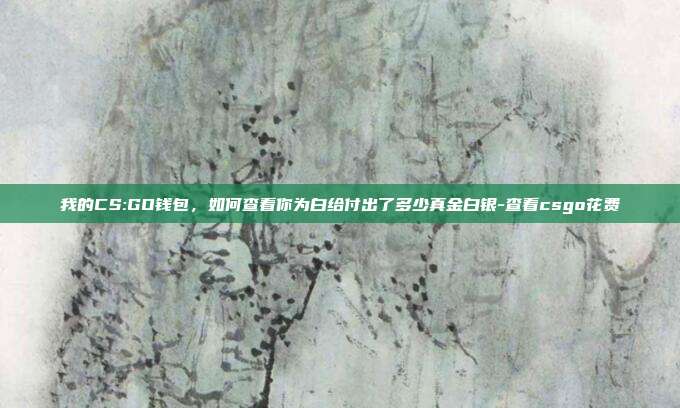 我的CS:GO钱包,如何查看你为白给付出了多少真金白银-查看csgo花费