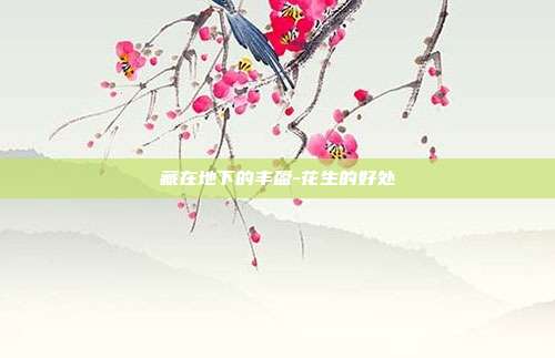 藏在地下的丰盈-花生的好处