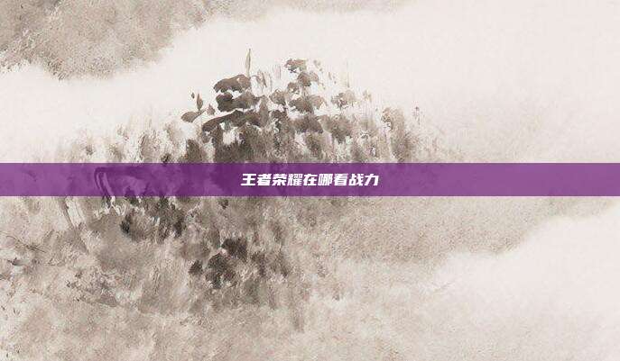 王者荣耀在哪看战力