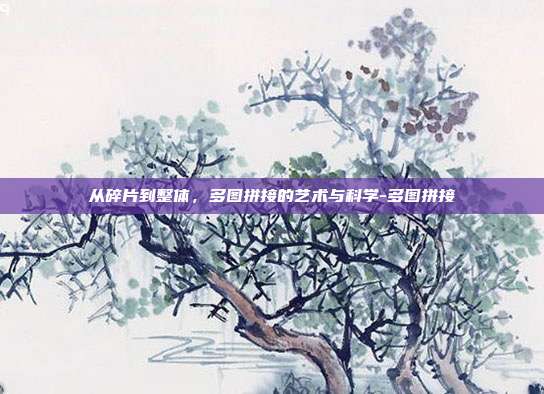 从碎片到整体，多图拼接的艺术与科学-多图拼接