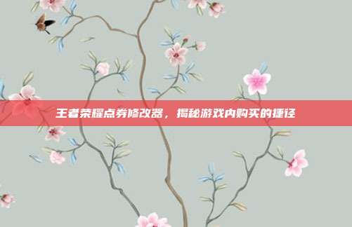 王者荣耀点券修改器,揭秘游戏内购买的捷径