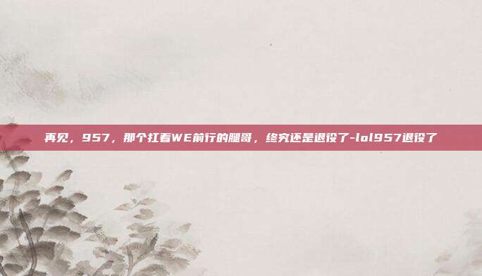 再见,957,那个扛着WE前行的腿哥,终究还是退役了-lol957退役了