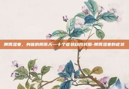 脾胃湿寒，身体的阴雨天—十个症状自我对照-脾胃湿寒的症状